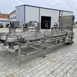 Conveyors for Tetra Pak Filling Lines